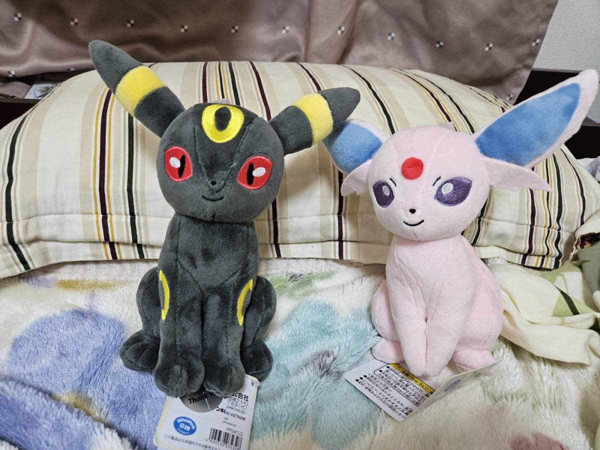 クロバーです~~!