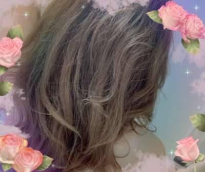 こんにちは！ミニバラだよ