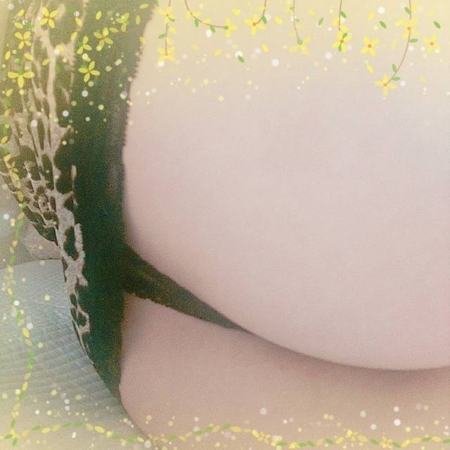 れしと～～～
