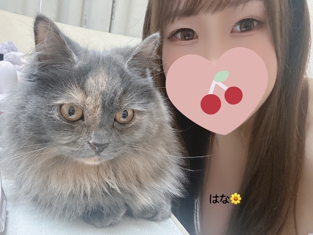 🐈｜写メ日記｜体験入店 はな｜韓国デリヘル REMEMBERⅡ（リメンバーツー）