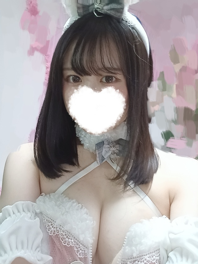 🐱