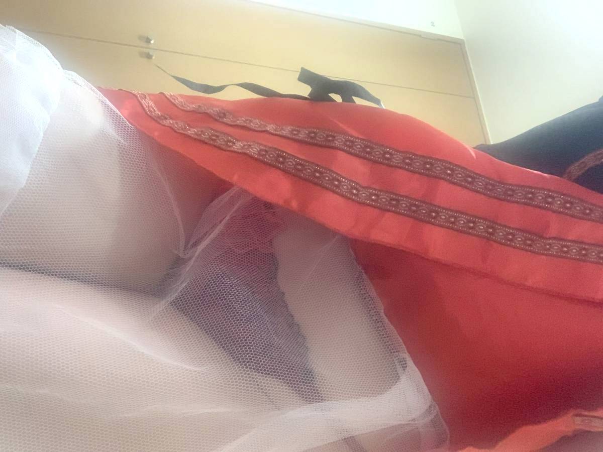 まだまだがんばります~~